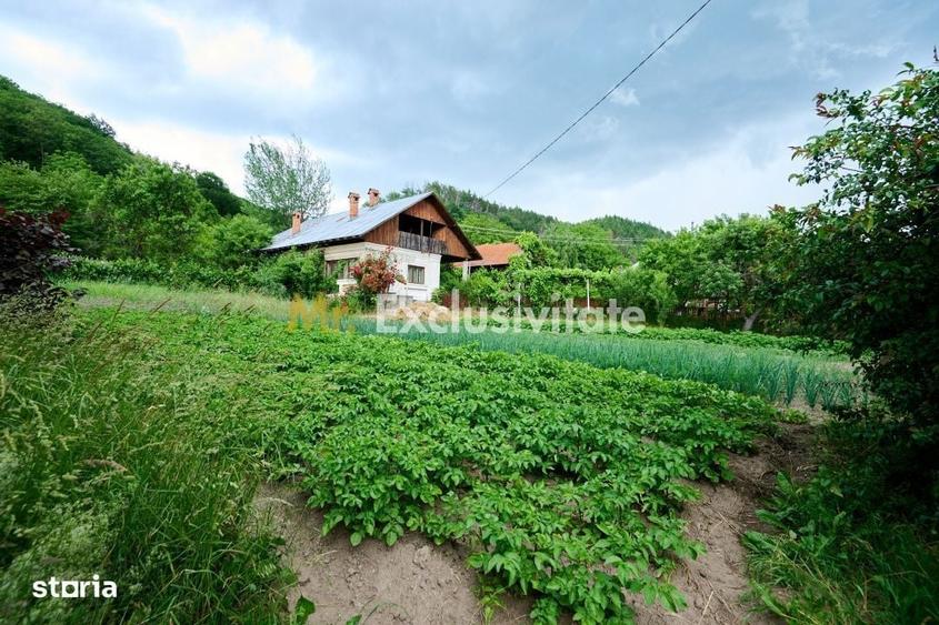 Casă cu 3 camere în Aluniș