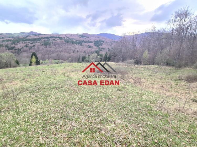 Teren extravilan de 20500 mp, în Valea Doftanei
