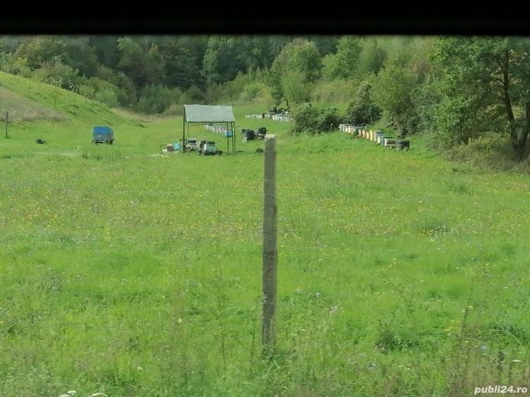 Teren de 30000 mp, în Central