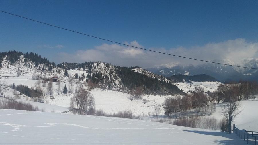 Teren agricol extravilan de 17537 mp, în Fundata