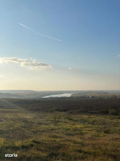 Teren de 380000 mp, în Rasova