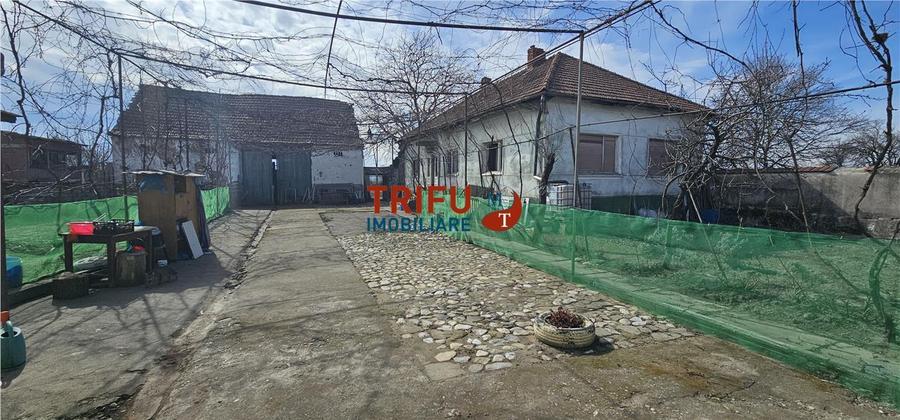 Teren Construcții intravilan de 8932 mp, în Șibot
