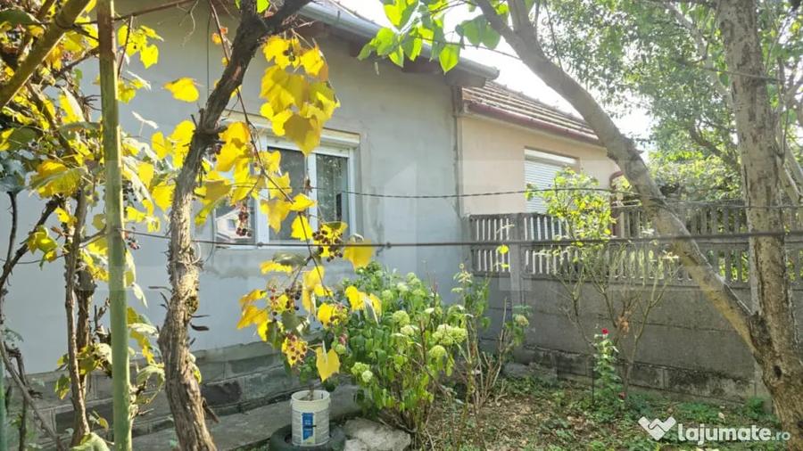 Casă cu 3 camere cu Teren 338 Mp în Nord