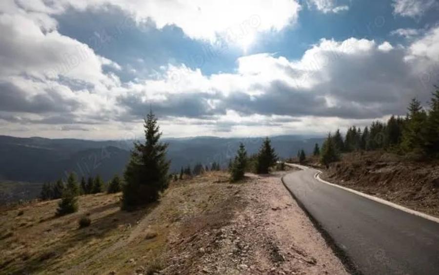 Teren de 12000 mp, în Petreasa