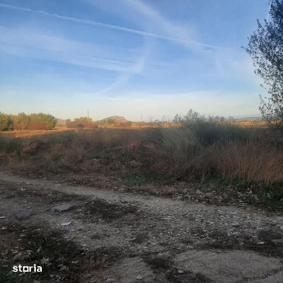 Teren de 7500 mp, în DHS