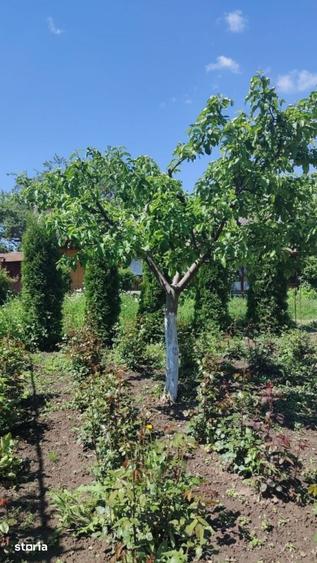 Casă cu 2 camere cu Teren 2000 Mp în Urecheni