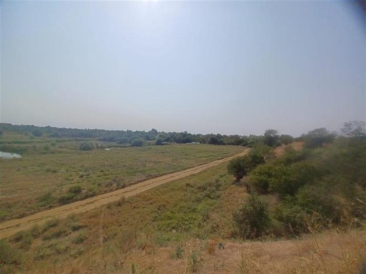 Teren extravilan de 38000 mp, în Adunații-Copăceni