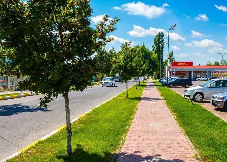Spațiu comercial, în Crevedia