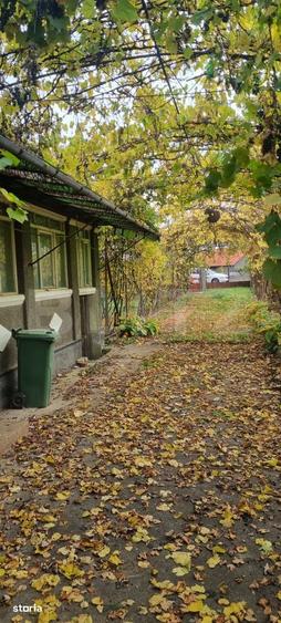 Casă cu 3 camere cu Teren 6058 Mp în Sâncel