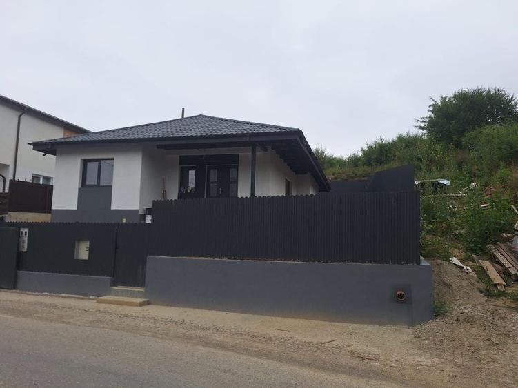 Casă cu 4 camere în Vișan