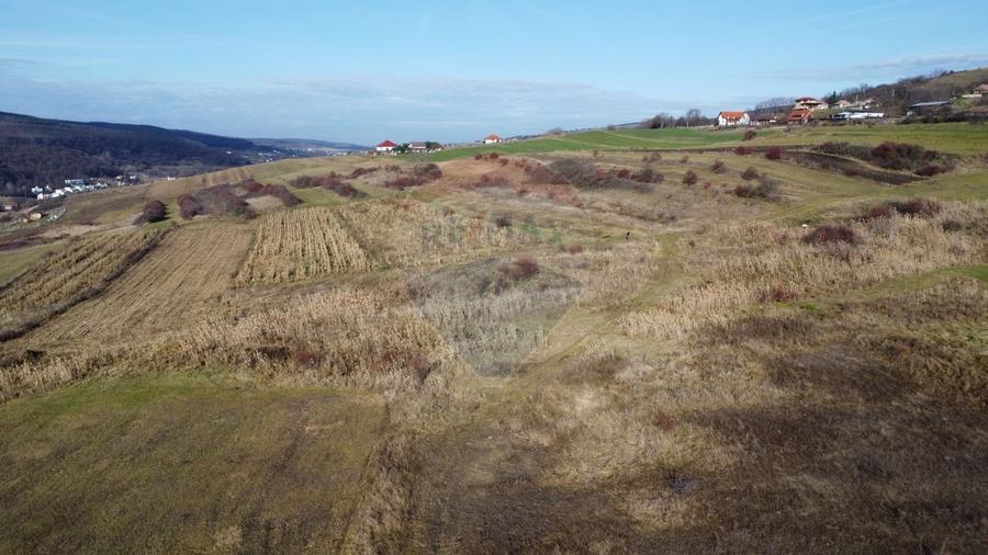 Teren agricol extravilan de 68403 mp, în Popești
