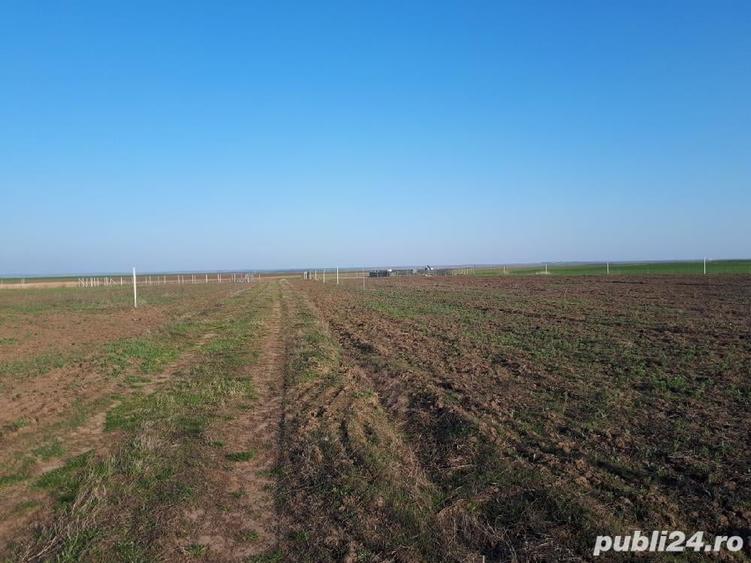 Teren de 805 mp, în Cornești