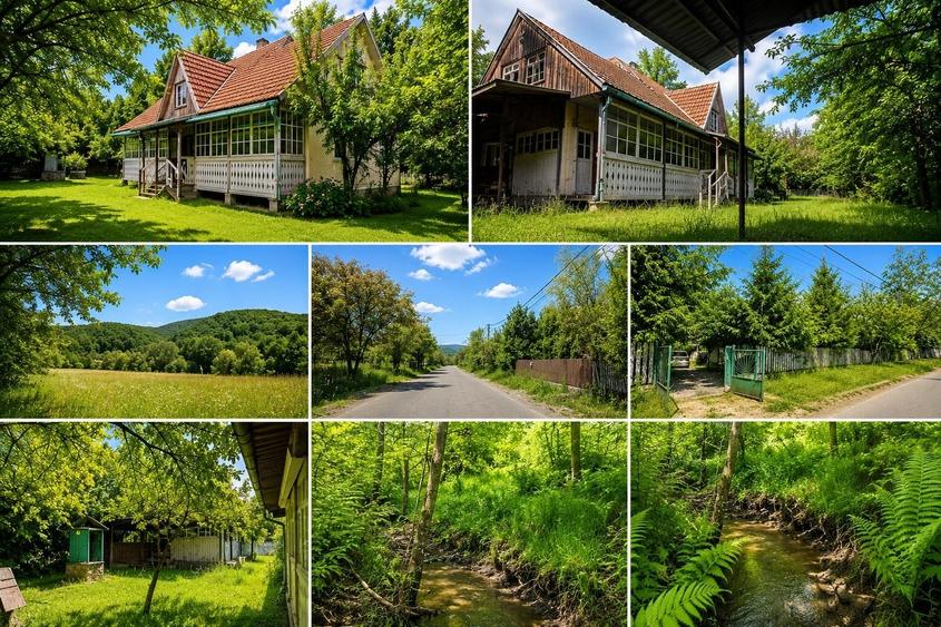 Oportunitate de investitie langa Sovata Ansamblu de 3 terenuri intravilane | Suprafata totala: 4.908 mp - 1