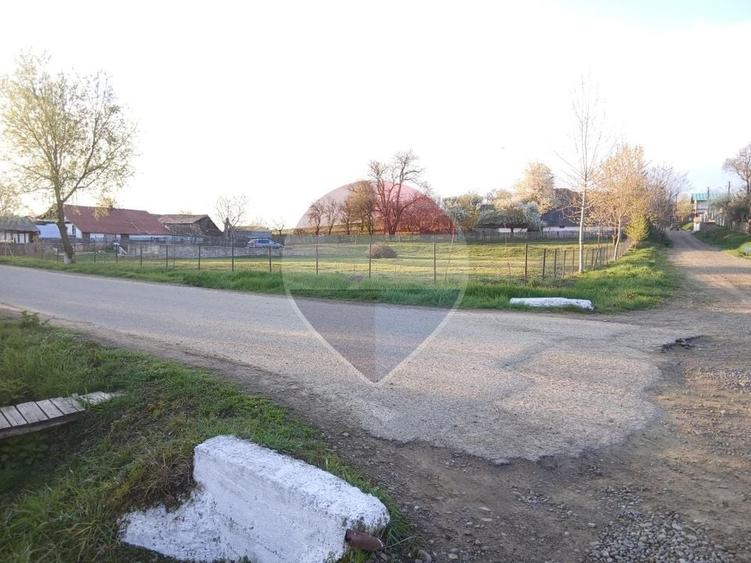 Teren Construcții intravilan de 2809 mp, în Siliștea