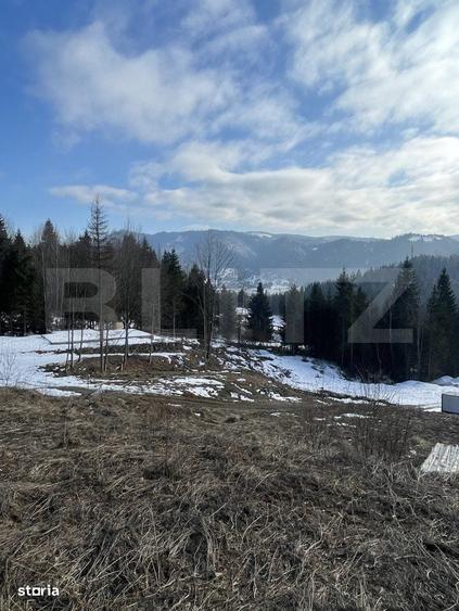 Teren intravilan de vanzare, 15 ari, zona COLIBITA - 4