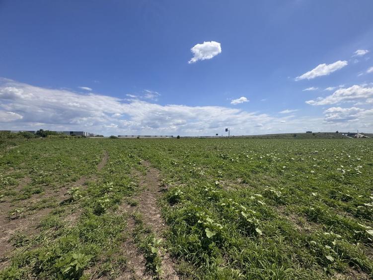 Teren agricol extravilan de 10000 mp, în Ghiroda