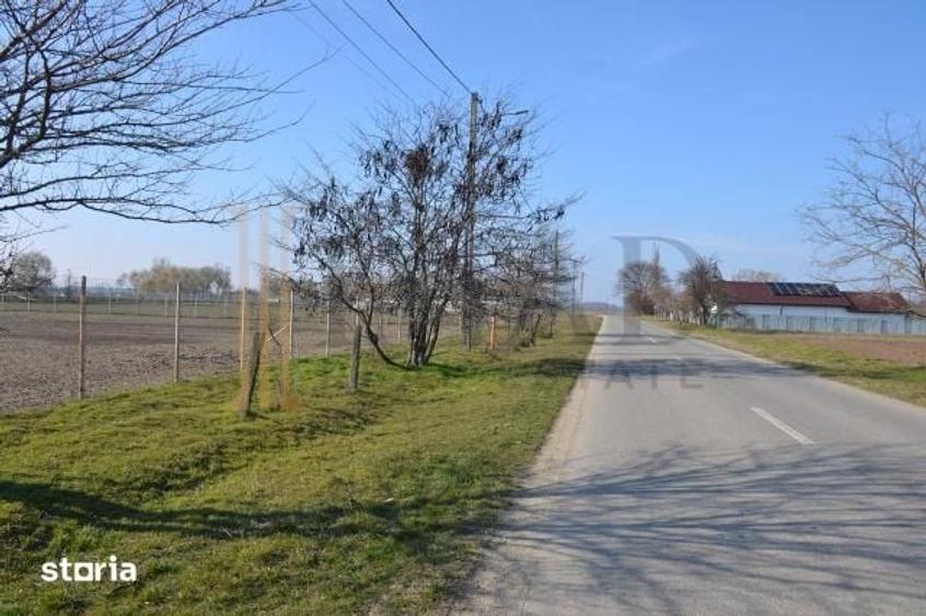 Teren de 5600 mp, în Sălcioara