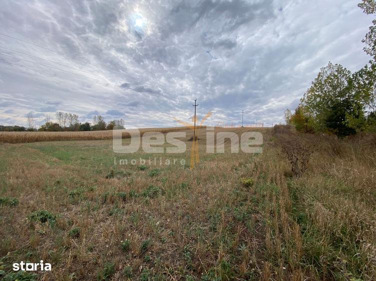 Teren de 6400 mp, în Girov