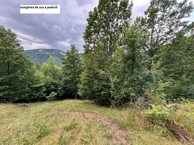 Teren de 35000 mp, în Parva