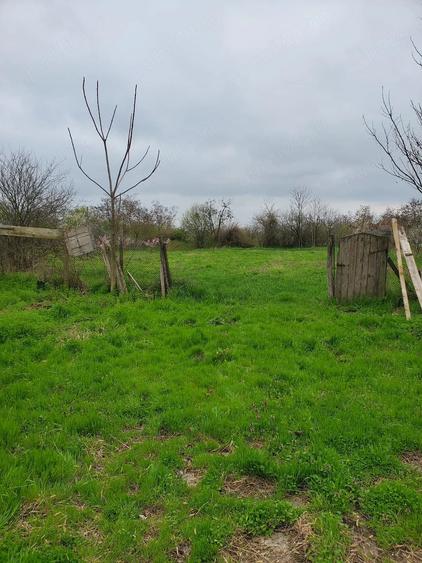 Teren de 1750 mp, în Șiclău