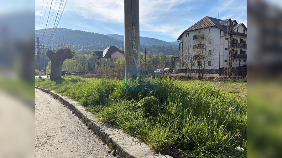 Teren de 2001 mp, în Bușteni