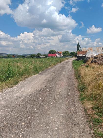 Teren Construcții intravilan de 5000 mp, în Bod