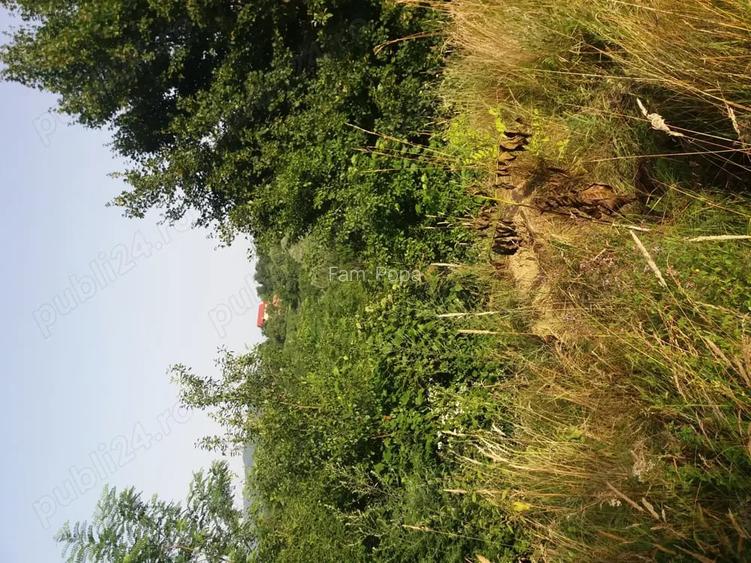 Vand teren, Jud. Valcea, dist.7kilomotri.