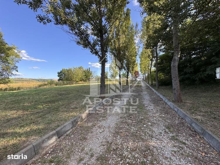Casă cu 4 camere cu Teren 1080 Mp în Peștișu Mare