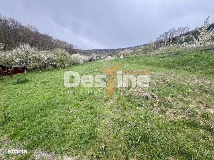 Teren intravilan Deva- Roci - 6