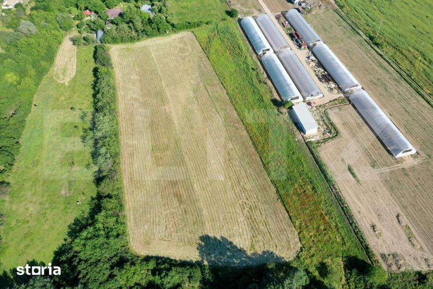 Teren de 29600 mp, în Șimnicu de Sus