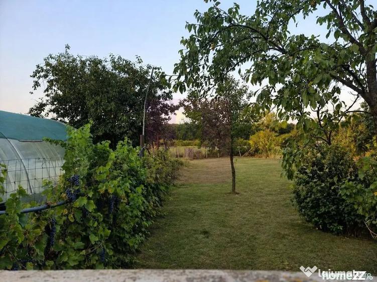 Casă cu 5 camere cu Teren 2875 Mp în Sadina