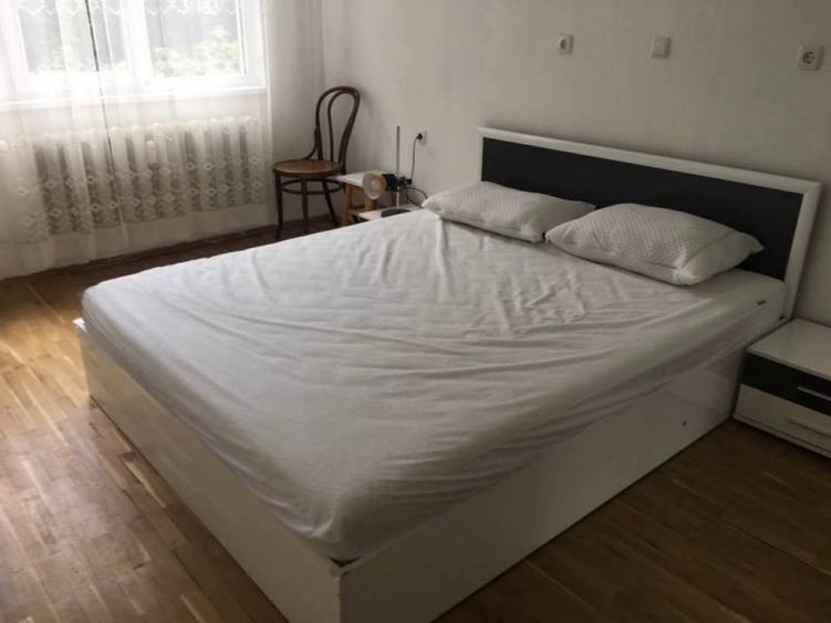 Apartament cu 2 camere de inchiriat in zona Drumul Taberei - 4