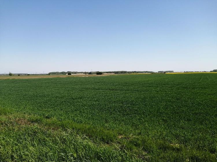 Teren agricol intravilan de 5114 mp, în 1 Decembrie