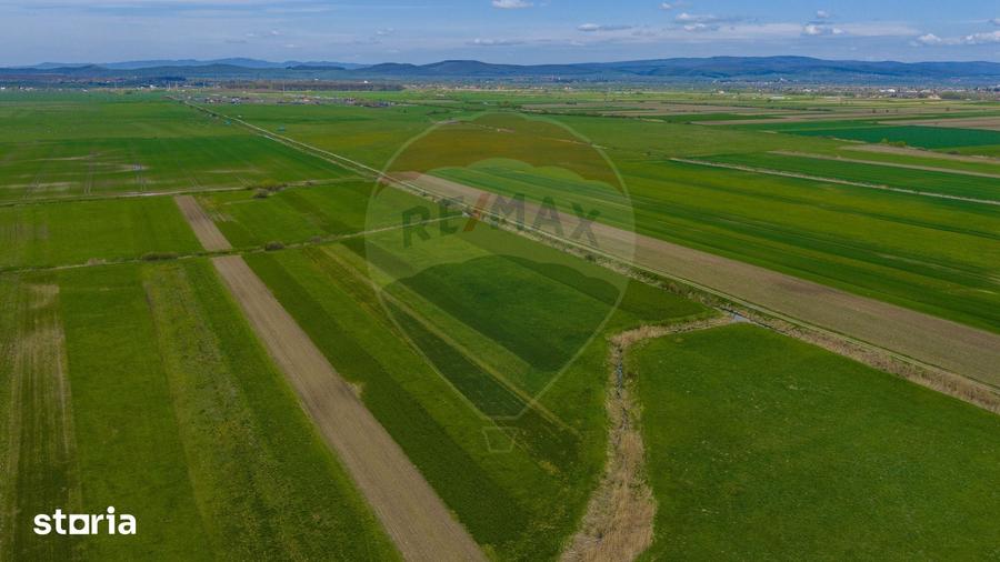Teren de 4000 mp, în Prejmer