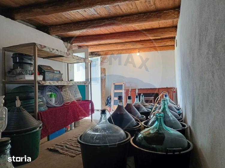 Casă cu 4 camere cu Teren 16499 Mp în Baia de Fier