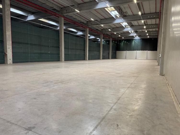 Hală suprafețe disponibile 1.000-40.000mp - 2
