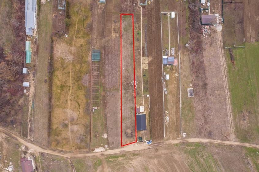 Teren Construcții intravilan de 1293 mp, în Cornetu