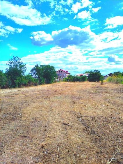 Teren agricol intravilan de 1600 mp, în Samurcași