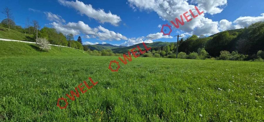 Teren extravilan de 6500 mp, în Zăbrătău