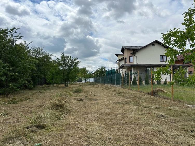 Teren de 975 mp, în Păulești