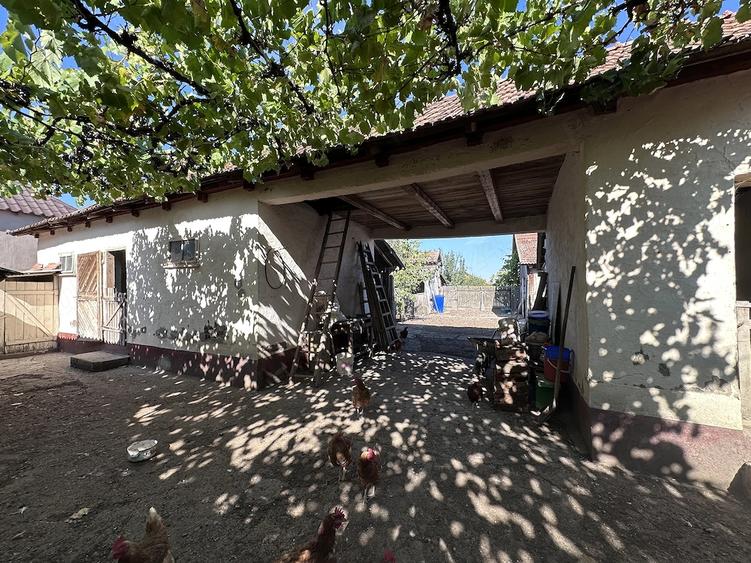 Casă cu Teren 1500 Mp în Apateu
