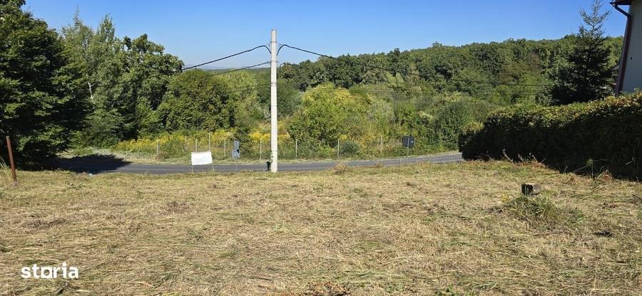 Teren cu PUZ aprobat in Faget, 2072 mp - 10