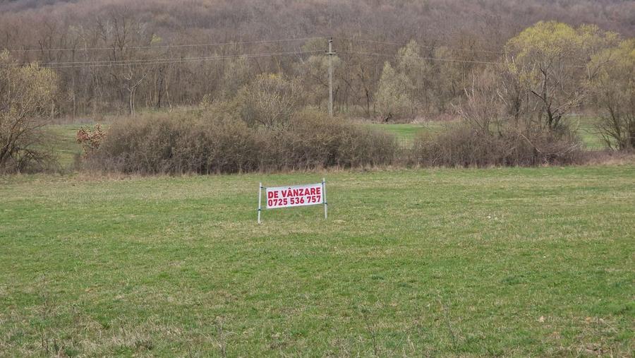 Spațiu comercial, în Cladova