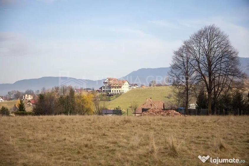 Teren de 1200 mp, în Sohodol