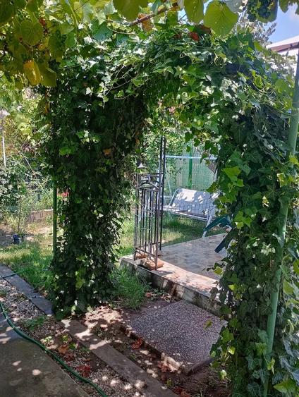 Apartament cu 3 camere semidecomandat în Șagului