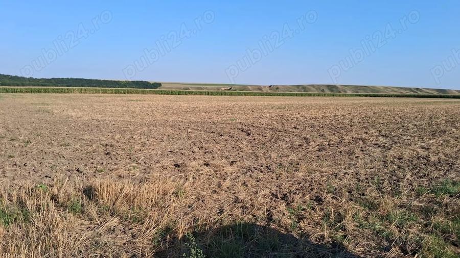 Teren de 28500 mp, în Central