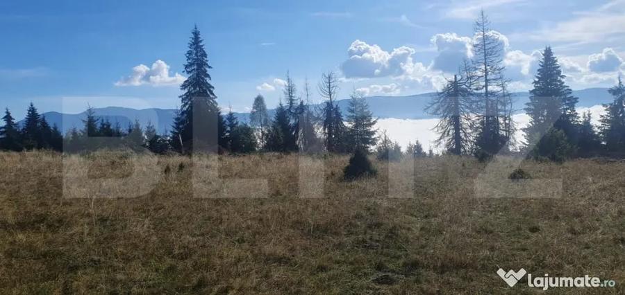 Teren în Central