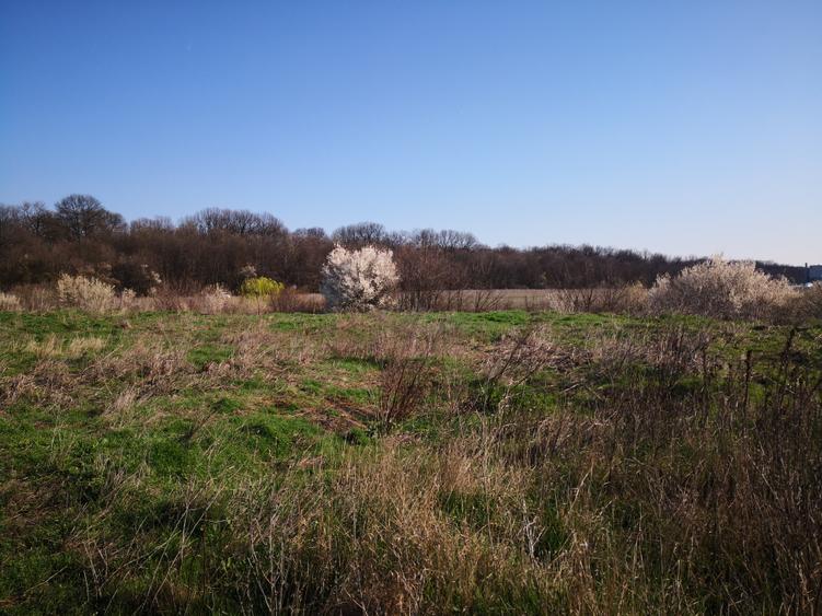 Teren Construcții intravilan de 1000 mp, în Sud