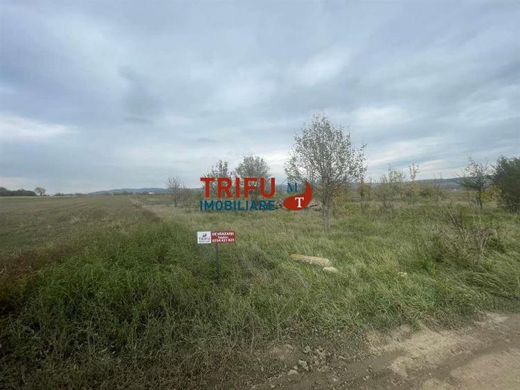 Teren Construcții intravilan de 25600 mp, în Ampoi 1