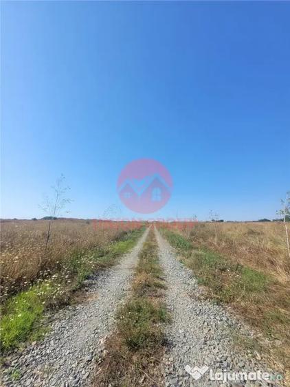 Teren Costinesti 1000 mp, Aproape de Plaja si de Nibiru, Ide - 6